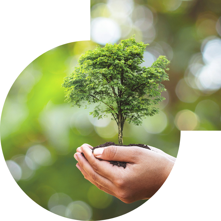 关怀人类、文化、环境与社会